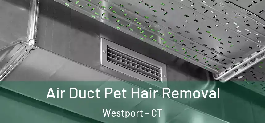  Air Duct Pet Hair Removal Westport - CT
