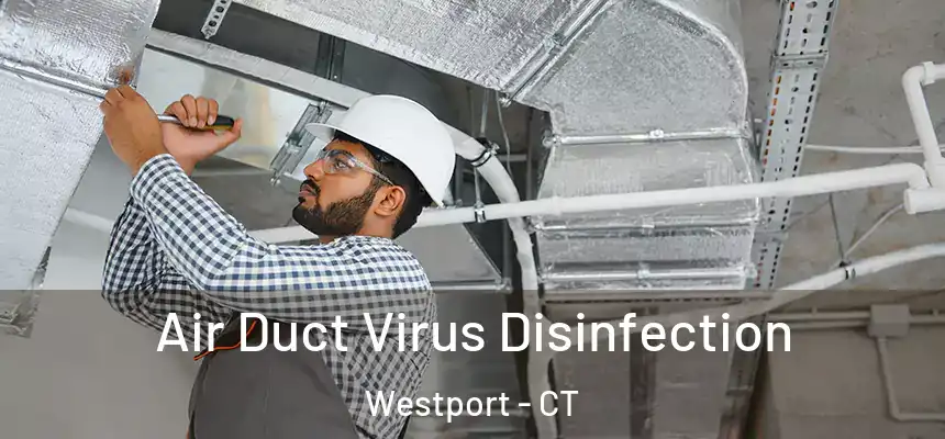  Air Duct Virus Disinfection Westport - CT