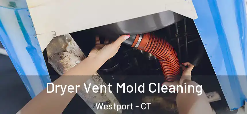  Dryer Vent Mold Cleaning Westport - CT