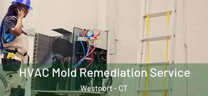  HVAC Mold Remediation Service Westport - CT