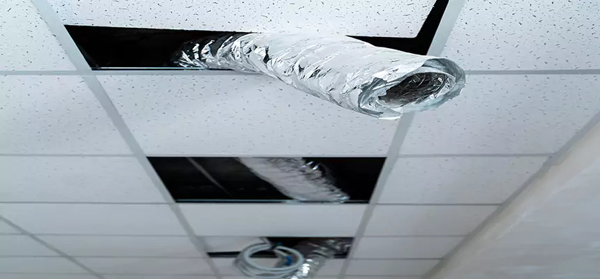 Affordable HVAC Sanitizing After Pest Removal in Westport