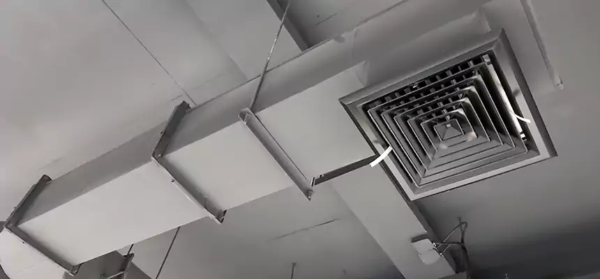 Our Pest Removal From Ducts Services in Westport, CT