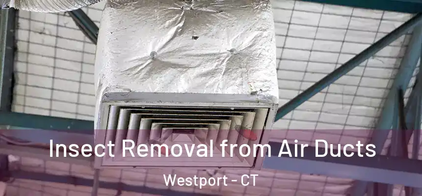 Insect Removal from Air Ducts Westport - CT