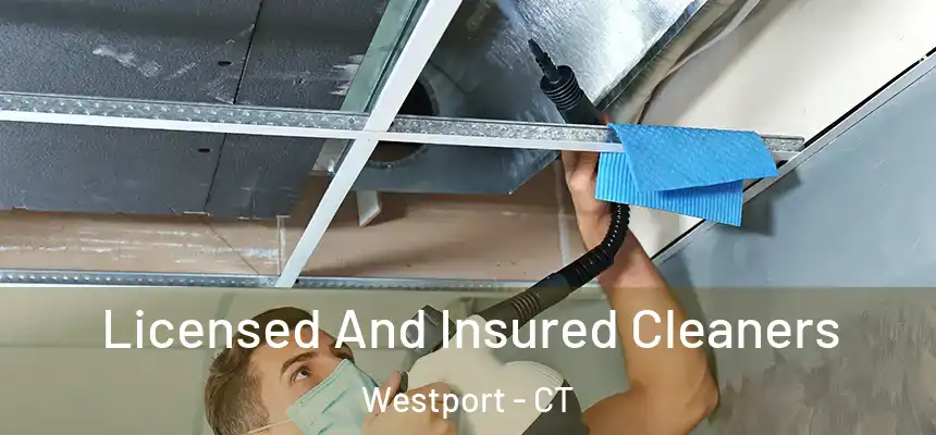 Licensed And Insured Cleaners Westport - CT