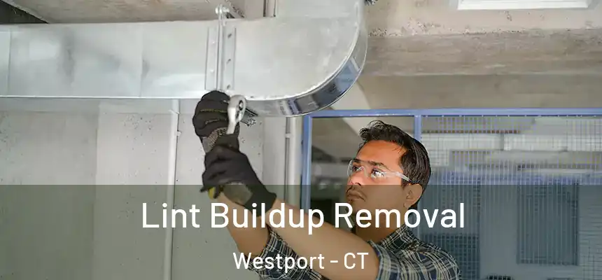 Lint Buildup Removal Westport - CT