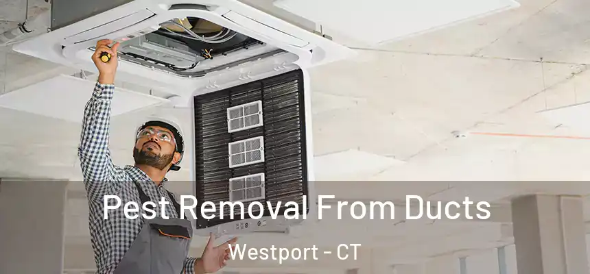  Pest Removal From Ducts Westport - CT