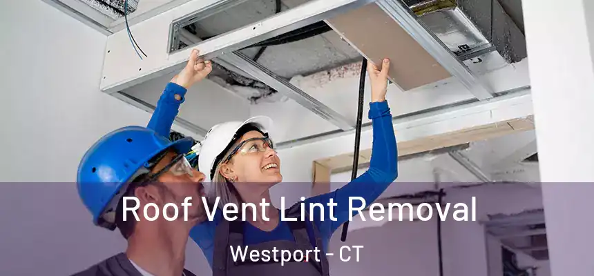 Roof Vent Lint Removal Westport - CT