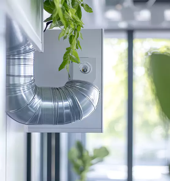 Professional Eco-Safe Dryer Vent Cleaning in Westport, CT