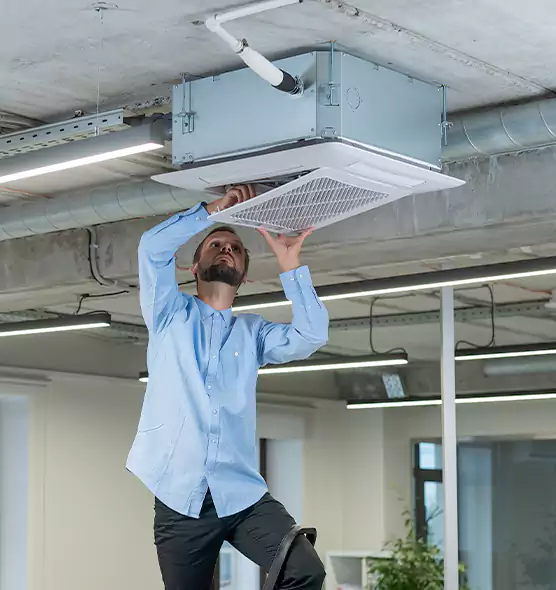 Advanced Rodent Droppings In Vents in Westport, CT