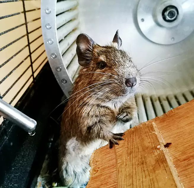 Why Homeowners & Businesses Trust Us Westport, CT?