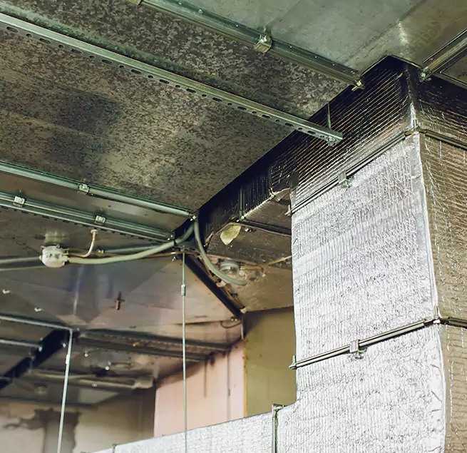 Why Homeowners & Businesses Trust Us in Westport, CT?